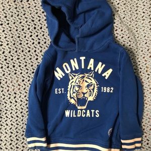 Royal blue toddler hoodie